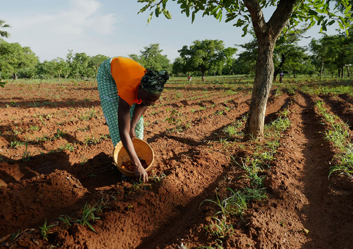 Solidaridad de L'Oréal en Burkina Fasso.