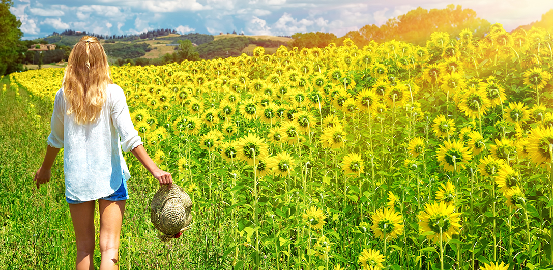 chica caminando en un campo girasoles para el post perfume repelente contra los mosquitos