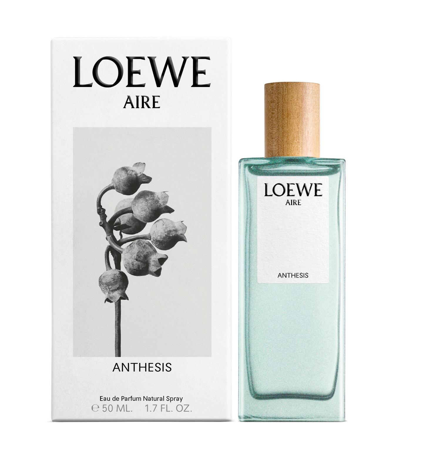 Aire Anthesis de Loewe