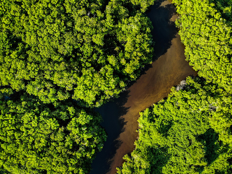 Givaudan refuerza su presencia en Latinoamérica con la entrada en Vollmens Fragrances, Brasil